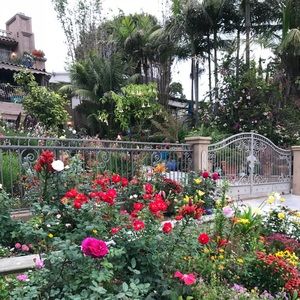 Meet your Posher, Sofia